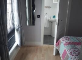 Ideal one bedroom appartment in Naas Oo Kildare，位于纳斯的酒店