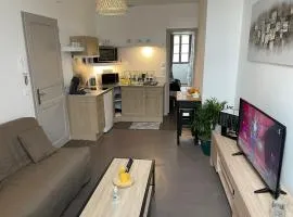 logement entier 33 m2 à Pau