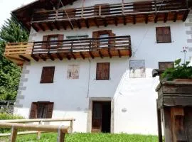 Piccola Stella Alpina