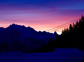 Perle des Alpes, Bettmeralp, Switzerland，位于贝特默阿尔卑的酒店