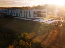 Schlosshotel Hellenstein，位于布拉河畔的海登海姆的酒店