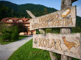 Tourist farm Kolar，位于Ljubno的家庭/亲子酒店