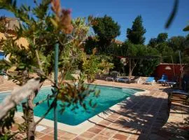 Jardin de Palme