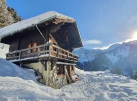 Chalet le Grenier - Romantique et exclusif，位于尚佩里的酒店