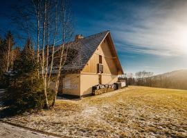 Horský apartmán U Lesa Říčky，位于日茄基Můstek附近的酒店