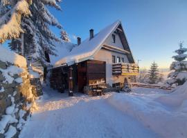 Holiday Home Dana Kopaonik，位于科帕奥尼克的酒店