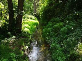 De Eppenbeek，位于Swalmen的带泳池的酒店