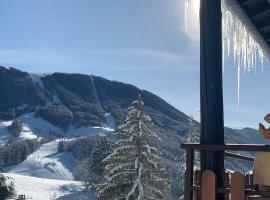 L’Eterle，位于Aillon-le-Jeune山峰滑雪缆车附近的酒店