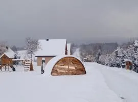 Domki Brzozówka w Bieszczadach