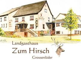 Hotel- Restaurant Zum Hirsch，位于Großenlüder的家庭/亲子酒店