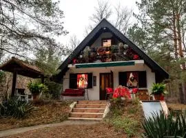 Ladybird Lodge