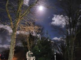 Huck’s Ferienhäuser，位于Borstel的酒店