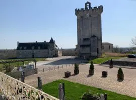 Appartement face au Donjon