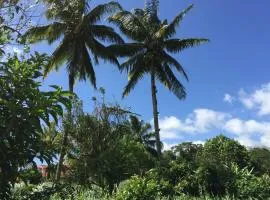 Logement en pleine verdure tropicale -10 min plage