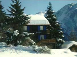 Chalet Alpina，位于利德阿尔卑斯阿尔彭罗斯教练缆车附近的酒店