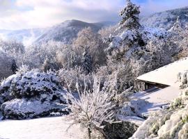 Vintage Chalet in Sougn Remouchamps near Forest，位于艾瓦耶的木屋