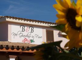 B&B Nel Giardino In Fiore，位于卡斯蒂亚达斯的住宿加早餐旅馆