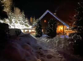 Wooden house in the heart of the Giant Mountains with own hill，位于Víchová nad Jizerou的酒店