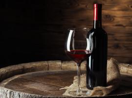 Vila Serena，位于Săftica的酒店