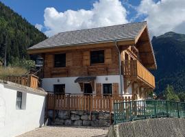 Just Morzine - Apartment Luna，位于莫尔济讷的酒店