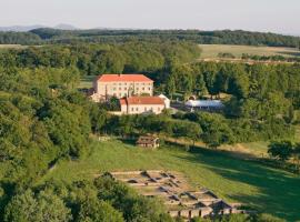 Hôtel du Couvent Saint Ulrich，位于萨尔堡的酒店