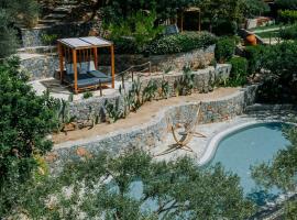 Paralos Irini Mare，位于圣加利尼的酒店