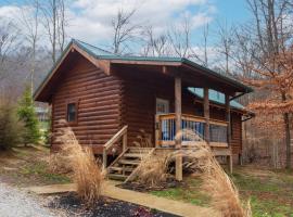 Pine Creek Cabins & Camping Resort，位于South Bloomingville的乡村别墅