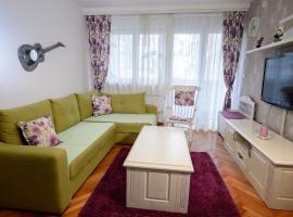 Apartman Centar Lux Valjevo，位于瓦列沃的度假短租房