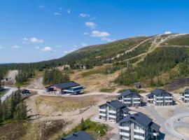 Mountain Lodge, ToppTrysil 6+1 guest -Skihytta，位于特吕西尔的度假短租房