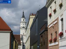 Old Town Apartment with a separate entrance，位于考纳斯Kaunas St. Georg`s Church & Bernardine Monastery附近的酒店