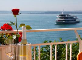 Seehotel ZUR MÜNZ，位于梅尔斯堡的酒店