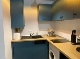 Medias Cozy Studio，位于梅迪亚什的酒店