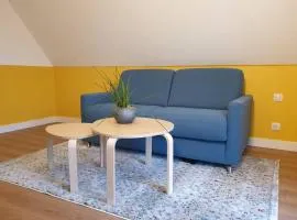 B&B jaune, Appartement indépendant, parking, wifi près de Strasbourg
