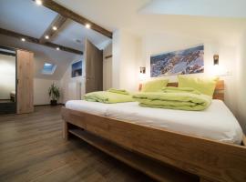 Ferienwohnung Jubiläumsgrat，位于格赖瑙的酒店