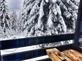 Apartma Rogla Gaber 63
