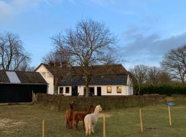 Hoeve Zandbelt，位于马尔克洛的住宿