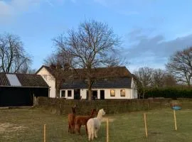 Hoeve Zandbelt