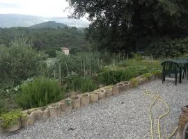 Studio 30 m2
