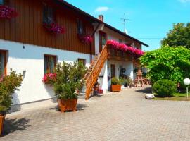 Pension zum Krug, Messe München，位于Hergolding的旅馆