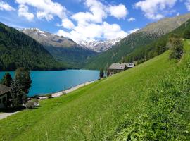 福纳特酒店，位于塞纳莱斯的酒店