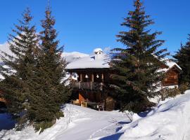 grosses Ferienhaus mit Sauna im Skigeb. Obersaxen，位于上萨克森Kartitscha - Stein Ski Lift附近的酒店