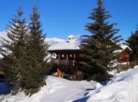 grosses Ferienhaus mit Sauna im Skigeb. Obersaxen