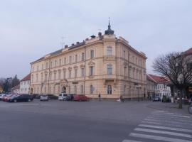 Hotel Besední dům Ivančice，位于Ivančice的酒店