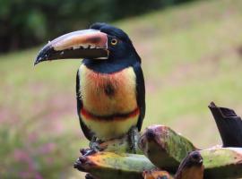 La Ceiba Tree Lodge，位于Tilarán的度假短租房