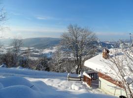 Chalet d'une chambre avec piscine partagee et jardin amenage a Le Tholy，位于莱托利的酒店