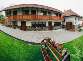 Gyöngyvirág Panzió，位于Lupeni的家庭/亲子酒店