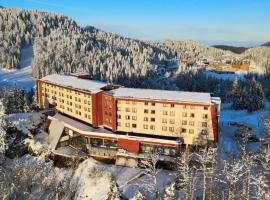 Hotel Bistrica，位于亚霍里纳的酒店