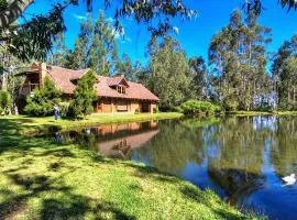 Palumbo Glamping & Villas