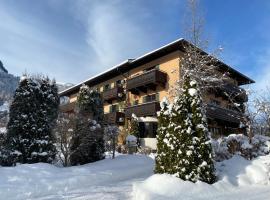Hotel Edelweiss Kitzbühel，位于基茨比厄尔的酒店