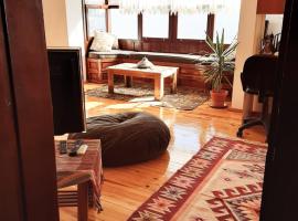 海滩房屋公寓，位于锡德的酒店